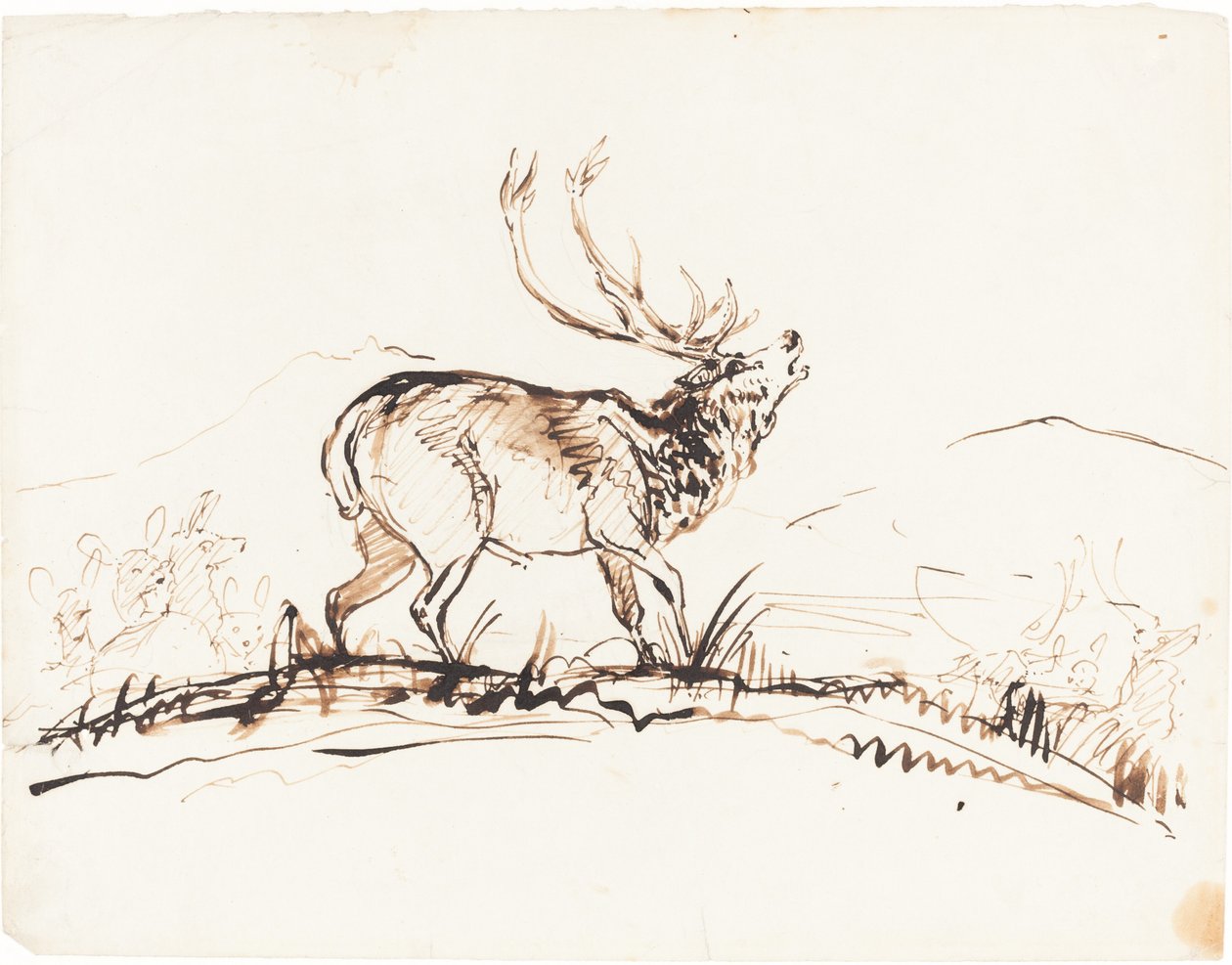 Een brullend hert door Sir Edwin Landseer