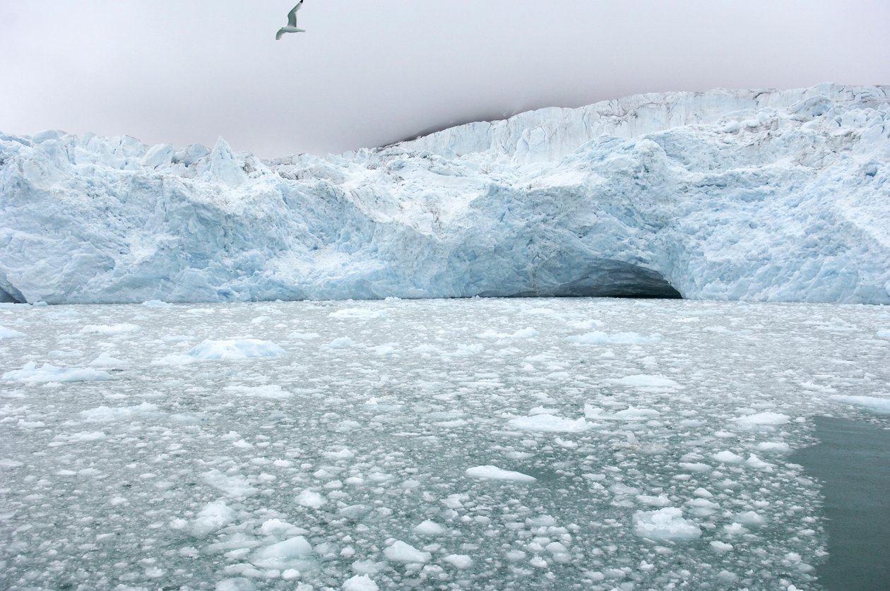 IJsbrokken van nabijgelegen gletsjers drijven in de Arctische zee, Svalbard-eilanden, Noorwegen, 2022 (foto) door Sisse Brimberg