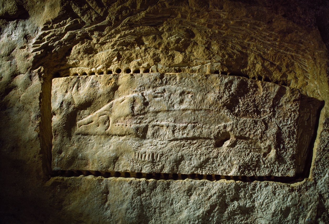 Prehistorische grottekening toont een zalm, van de Abri du Poisson (