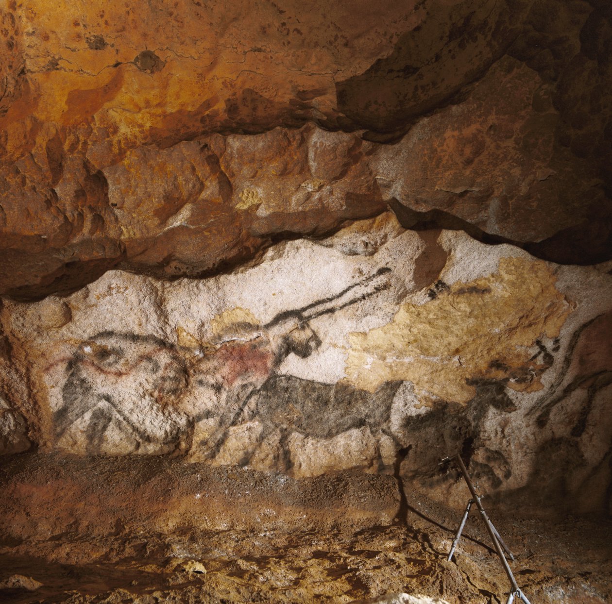 De Mythische Eenhoorn van Lascaux geschilderd meer dan 17.000 jaar geleden langs het witte calciet... door Sisse Brimberg