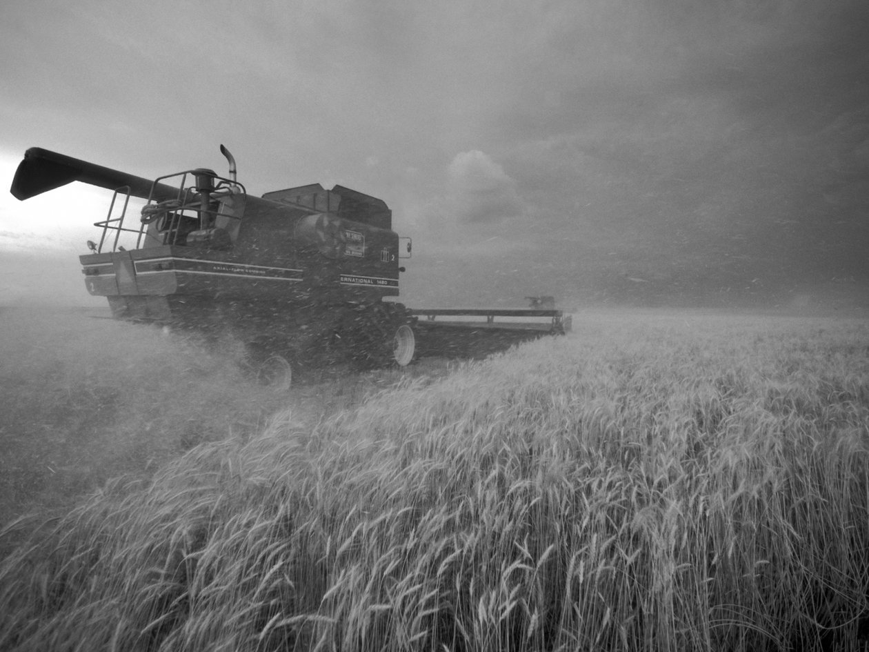 Verenigde Staten, Kansas: Kansas tarwe wordt geoogst bij schemering tijdens de zomer, 2022 (foto) door Sisse Brimberg