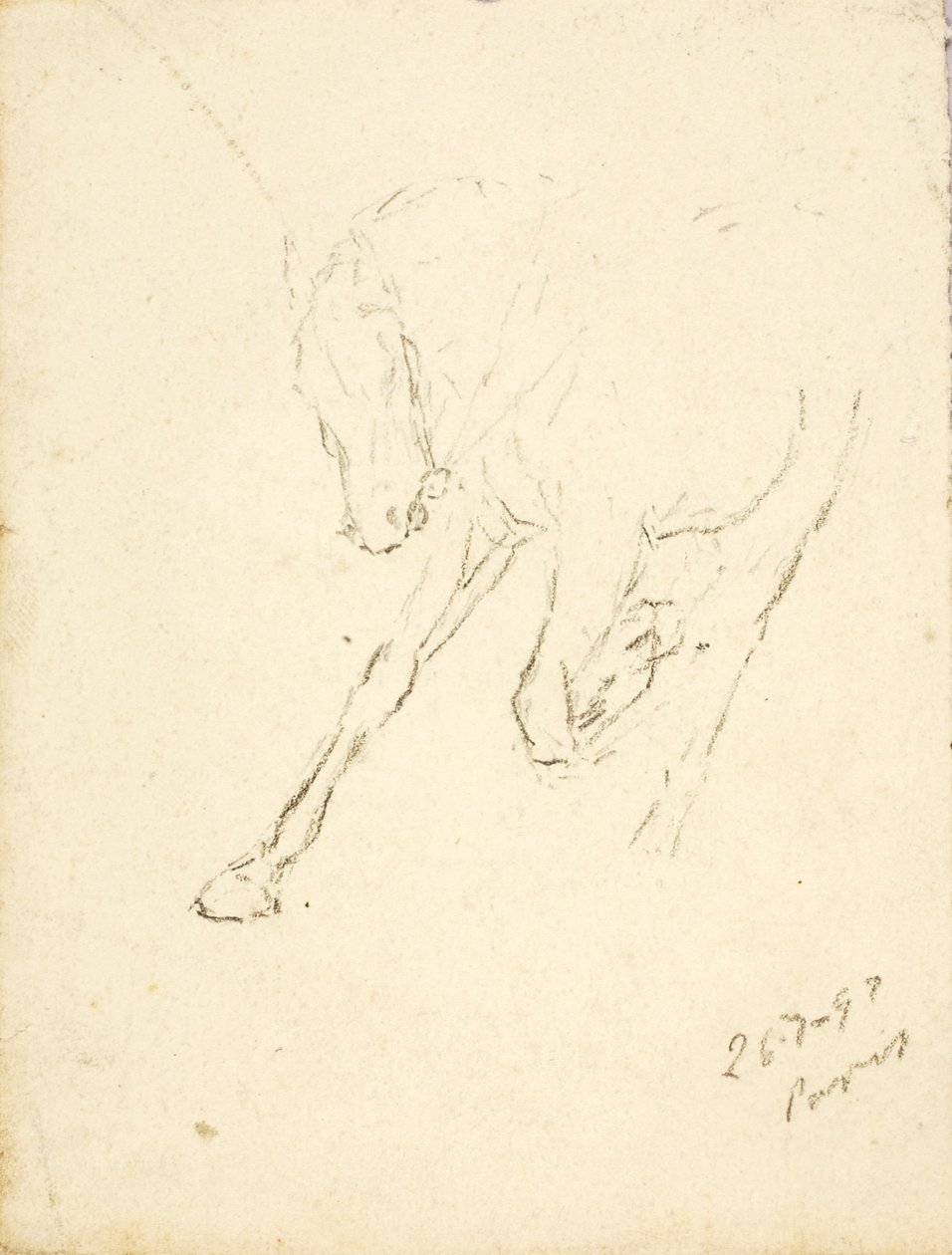 Paard door Solon H. Borglum