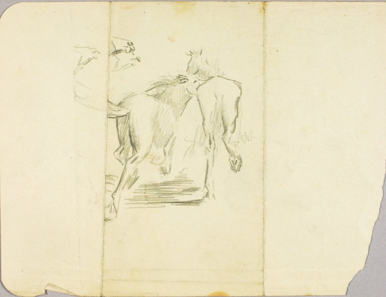 Paarden door Solon H. Borglum