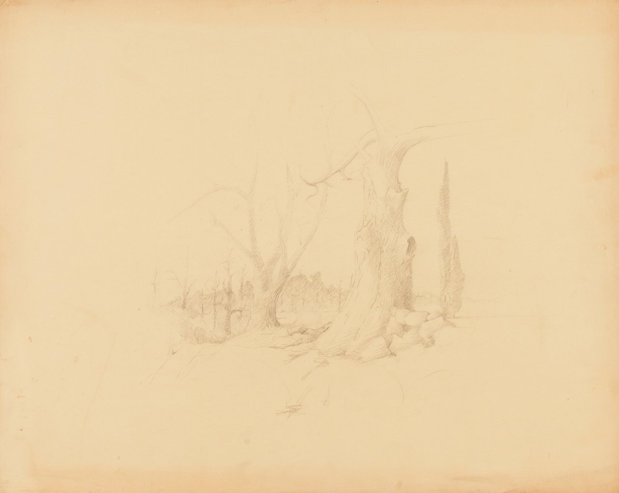 Landschap door Solon H. Borglum