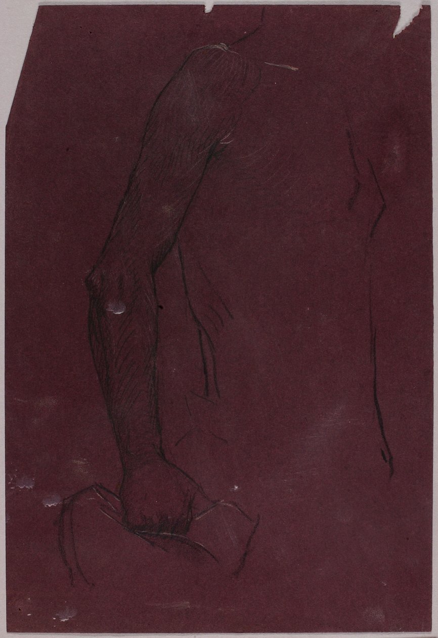 Torso, studie voor ruitermonument door Solon H. Borglum