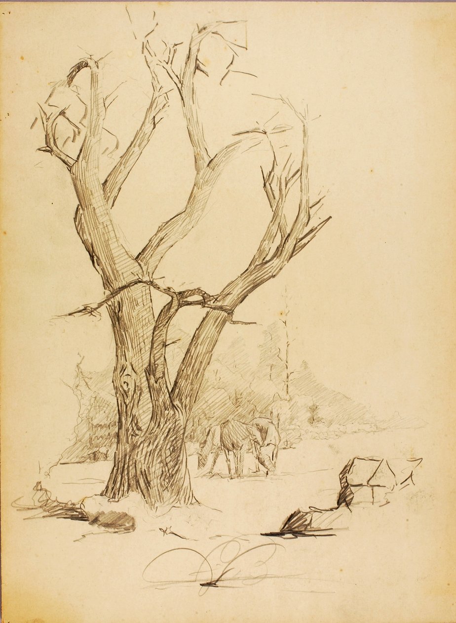 Zonder titel door Solon H. Borglum