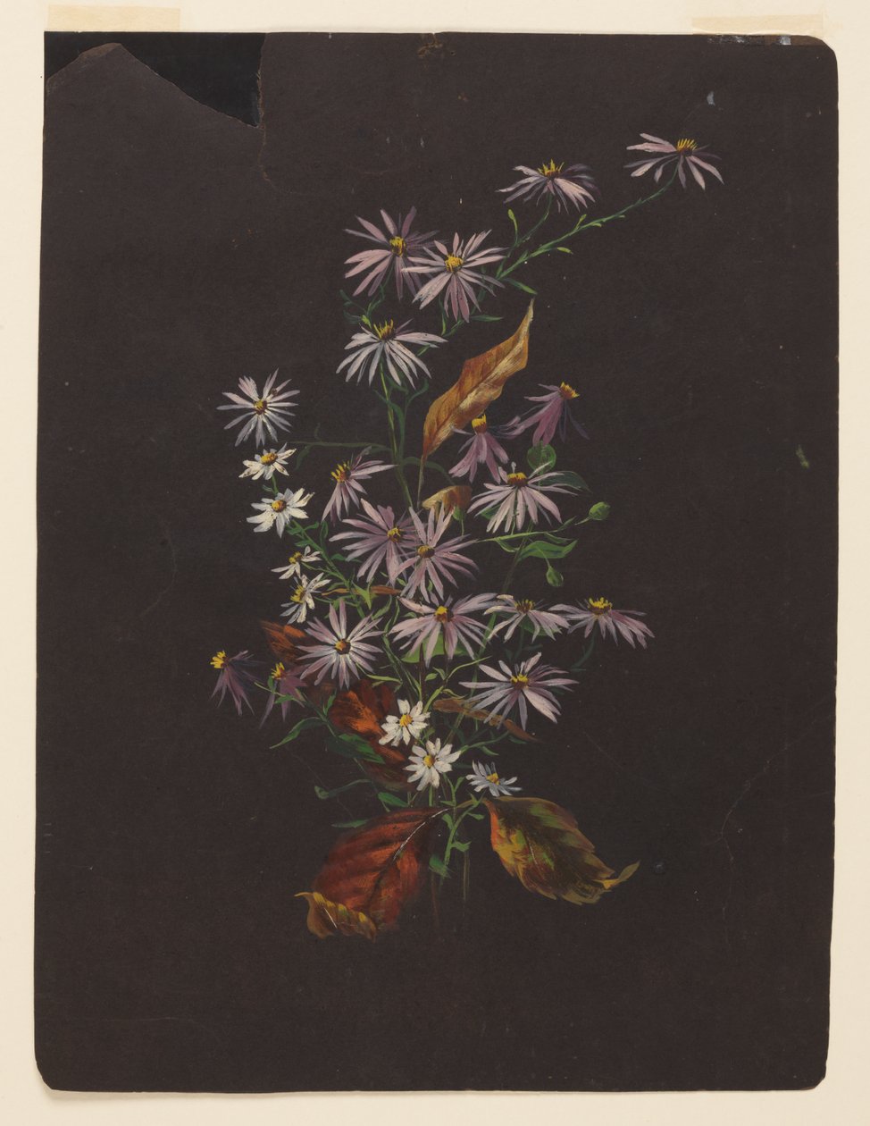 Studie van een Herfstboeket door Sophia L. Crownfield