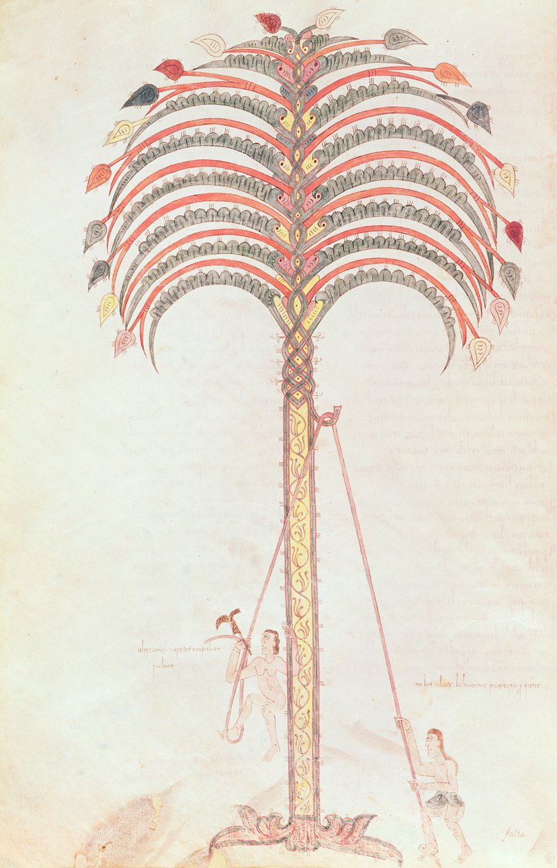 Fol.147v De Metafoor van de Palmboom, uit de Girona Beatus door Spanish School