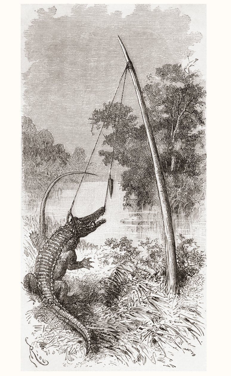 Een alligatorval aan de Oyapock of Oiapoque rivier, die de grens vormt tussen Frans-Guyana en Brazilië door Spanish School