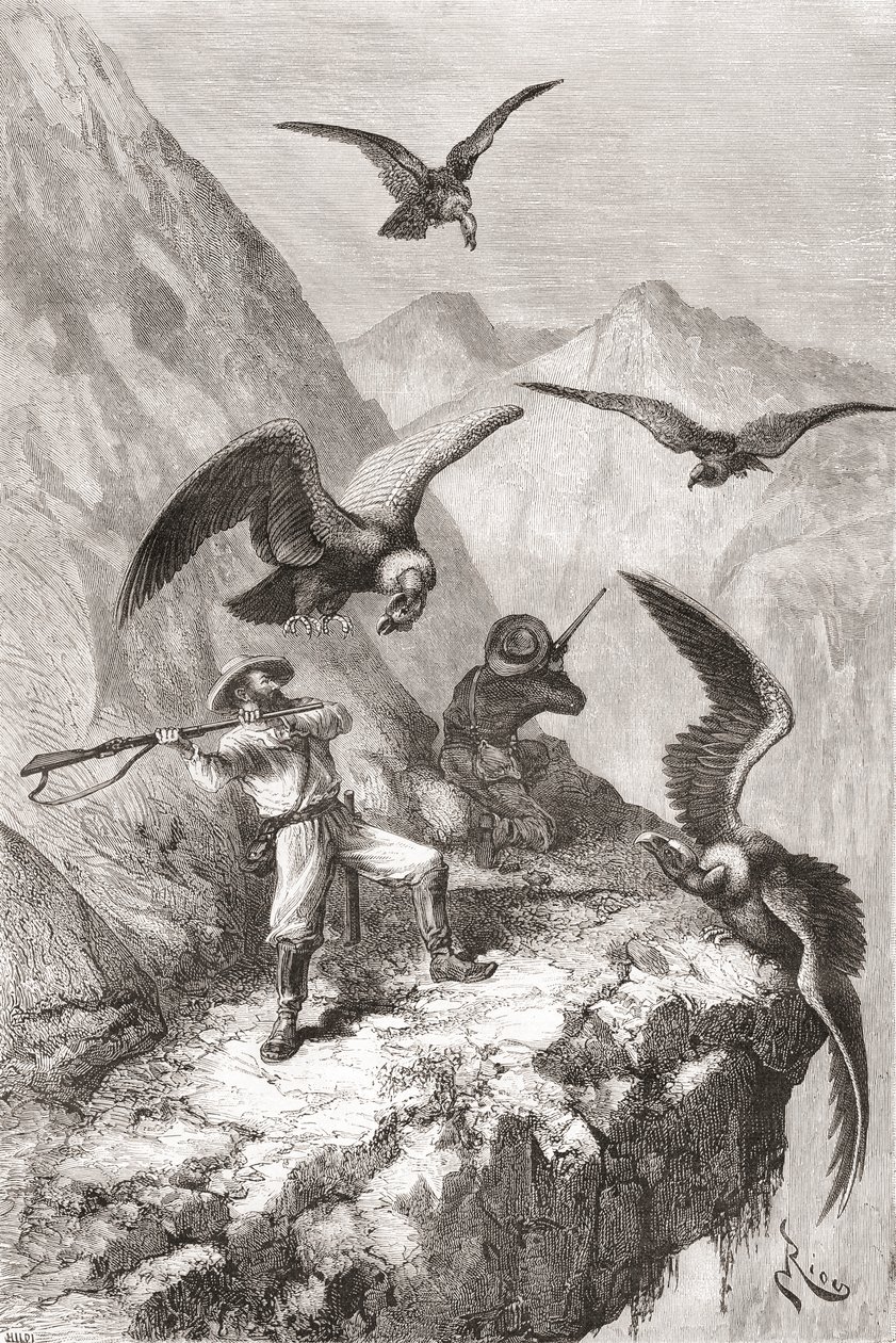 Édouard François André en metgezel aangevallen door condors nabij Calacali, Pichincha Provincie, Ecuador, tijdens zijn botanische expeditie in de uitlopers van de Andes in 1875-76 door Spanish School