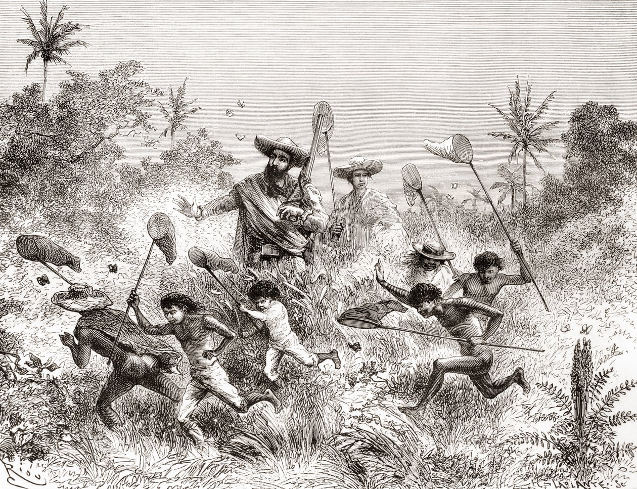 Édouard François André vangt vlinders in Villavicencio, Venezuela tijdens zijn botanische expeditie in de uitlopers van de Andes in 1875-76 door Spanish School