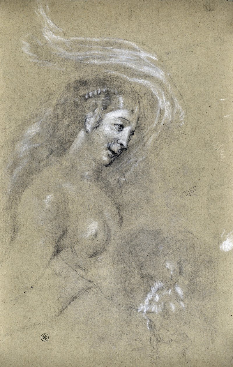 Studie van profiel van vrouw door Stanislas Torrents y de Amat