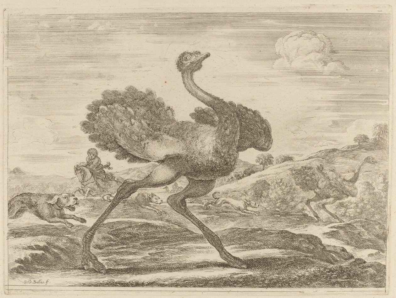 Struisvogeljacht door Stefano della Bella