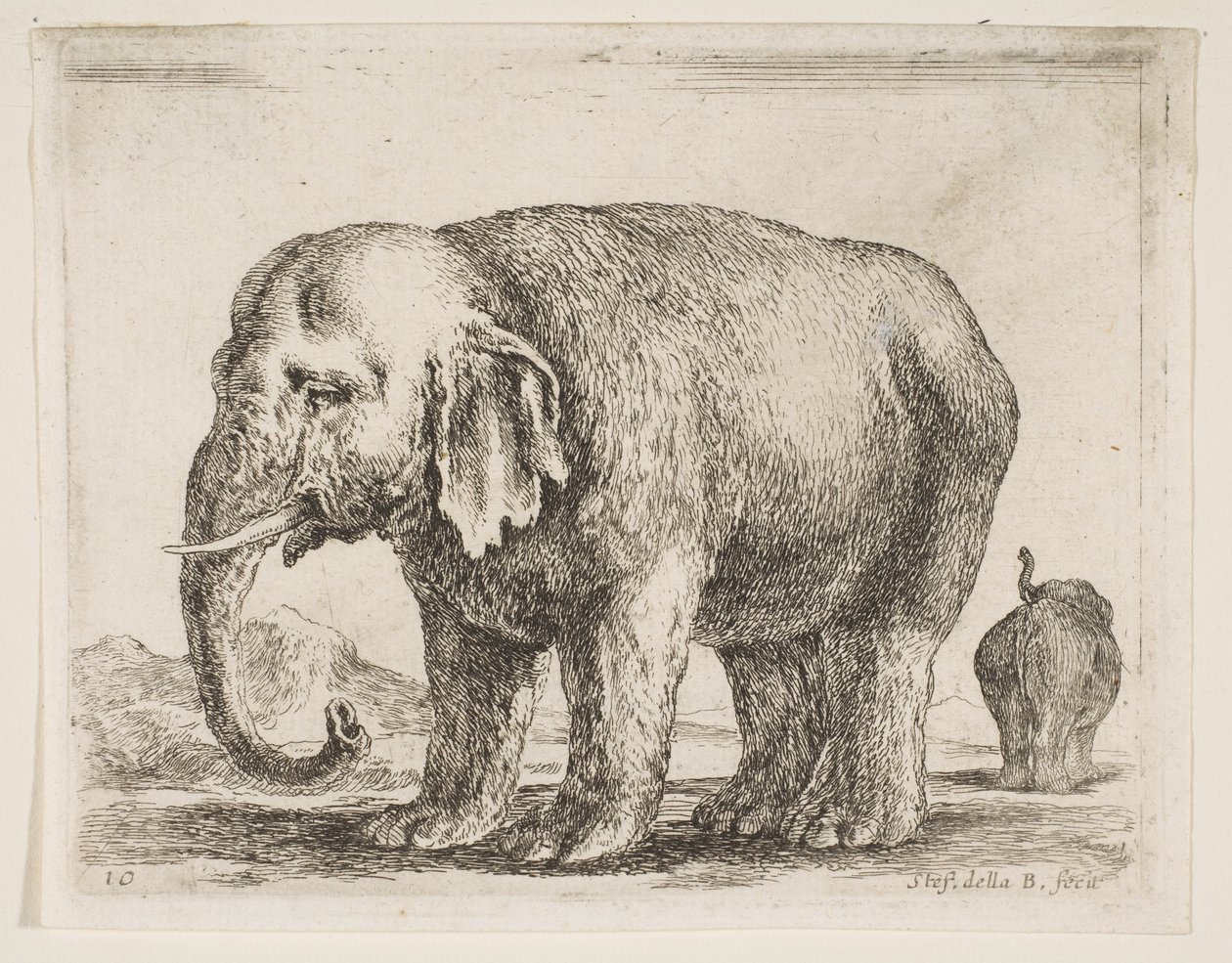 Plaat 10: olifant, uit Diverse dieren Diversi animali, ca. 1641 door Stefano della Bella