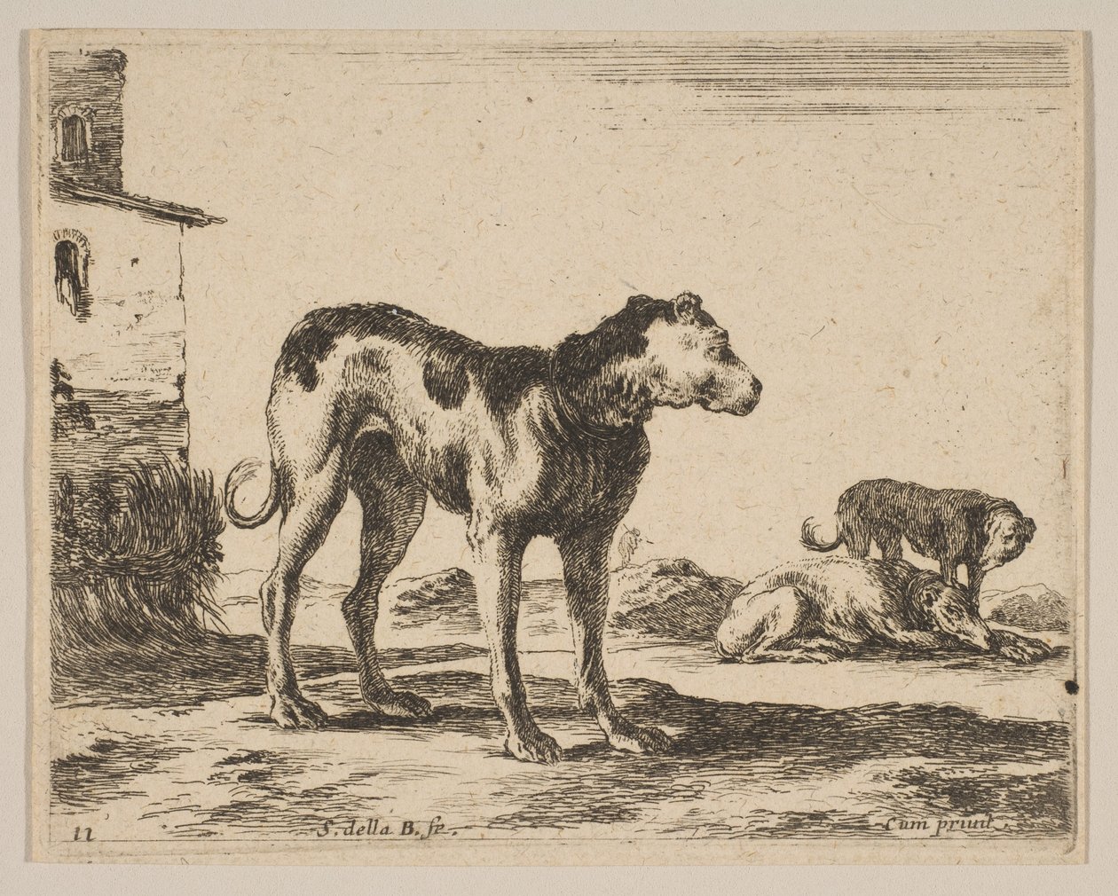 Plaat 11: honden, uit Diverse dieren Diversi animali, ca. 1641 door Stefano della Bella