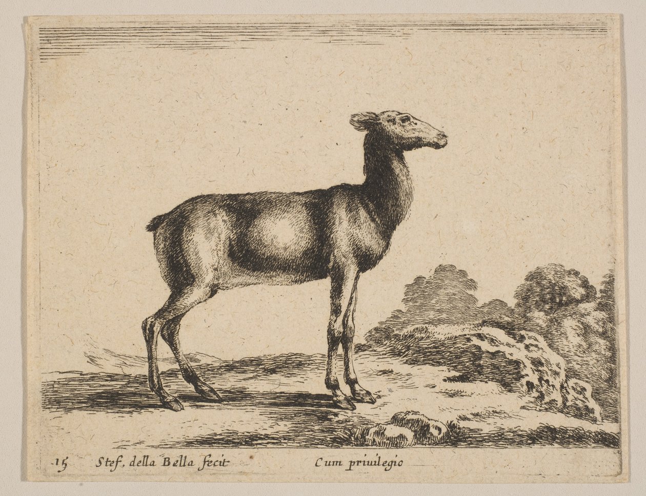 Plaat 15: hert, uit 