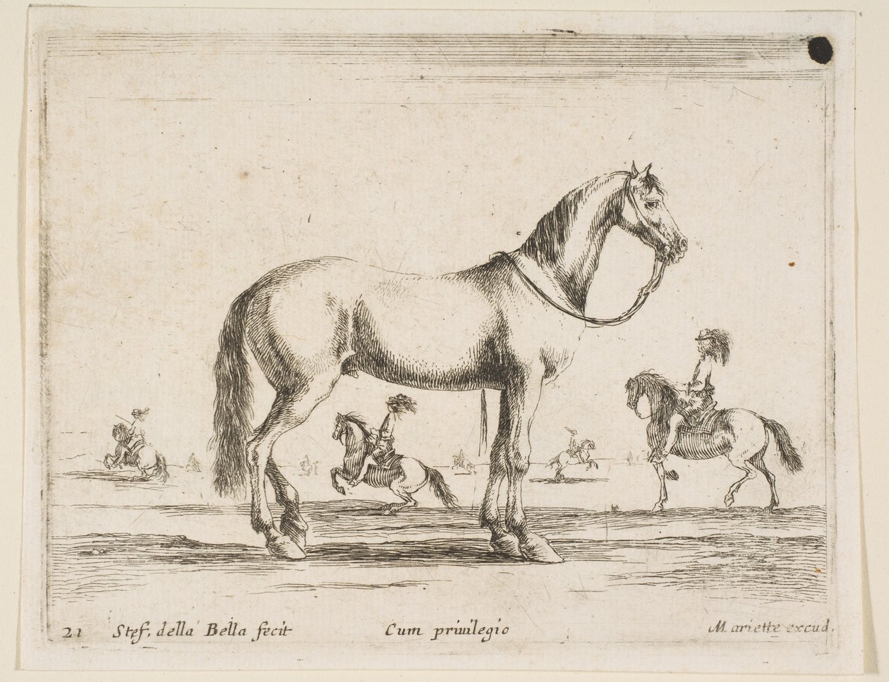 Plaat 21: paard, uit Diverse dieren Diversi animali, 1641 door Stefano della Bella
