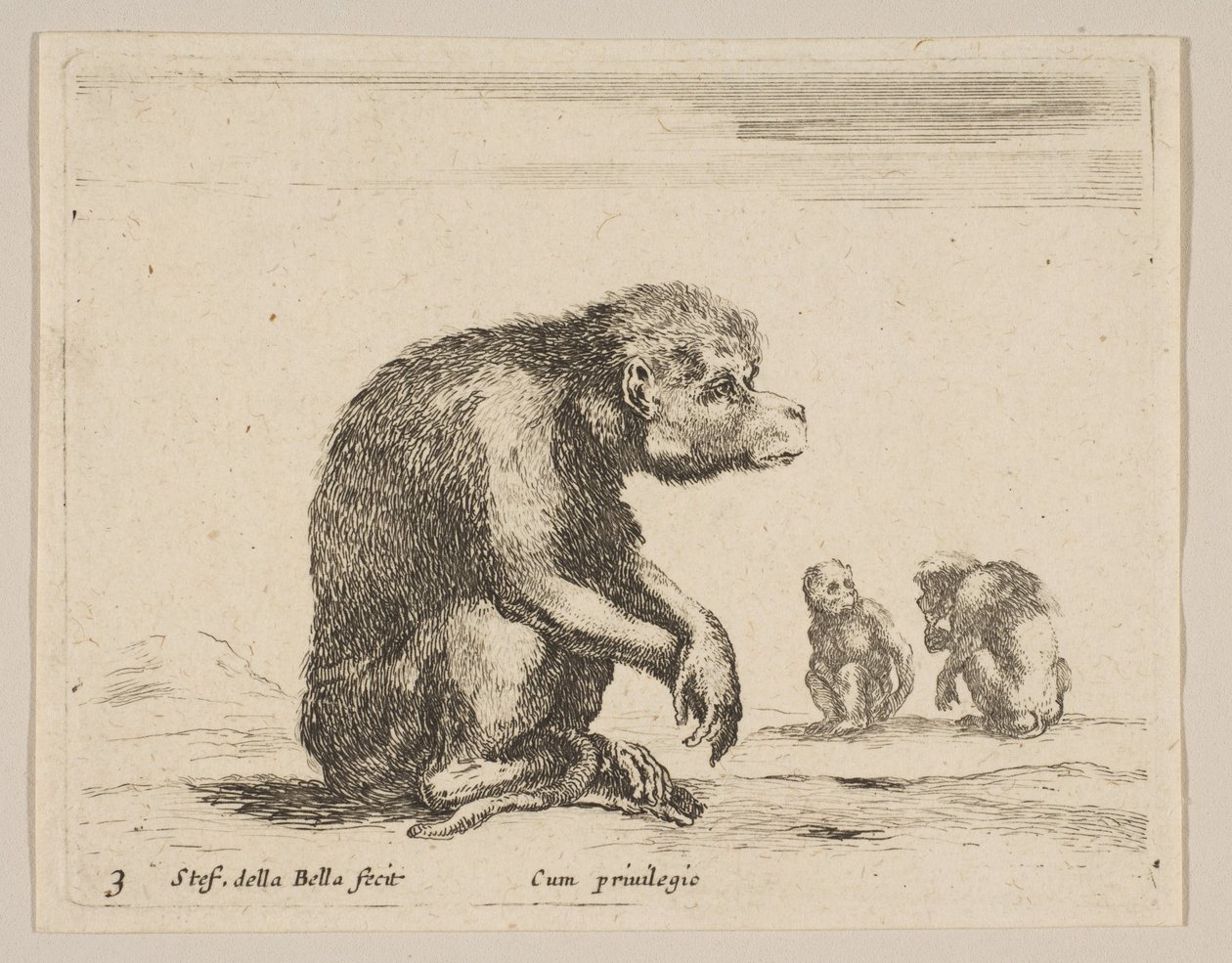 Plaat 3: zittende aap, uit Diverse dieren Diversi animali, ca. 1641 door Stefano della Bella