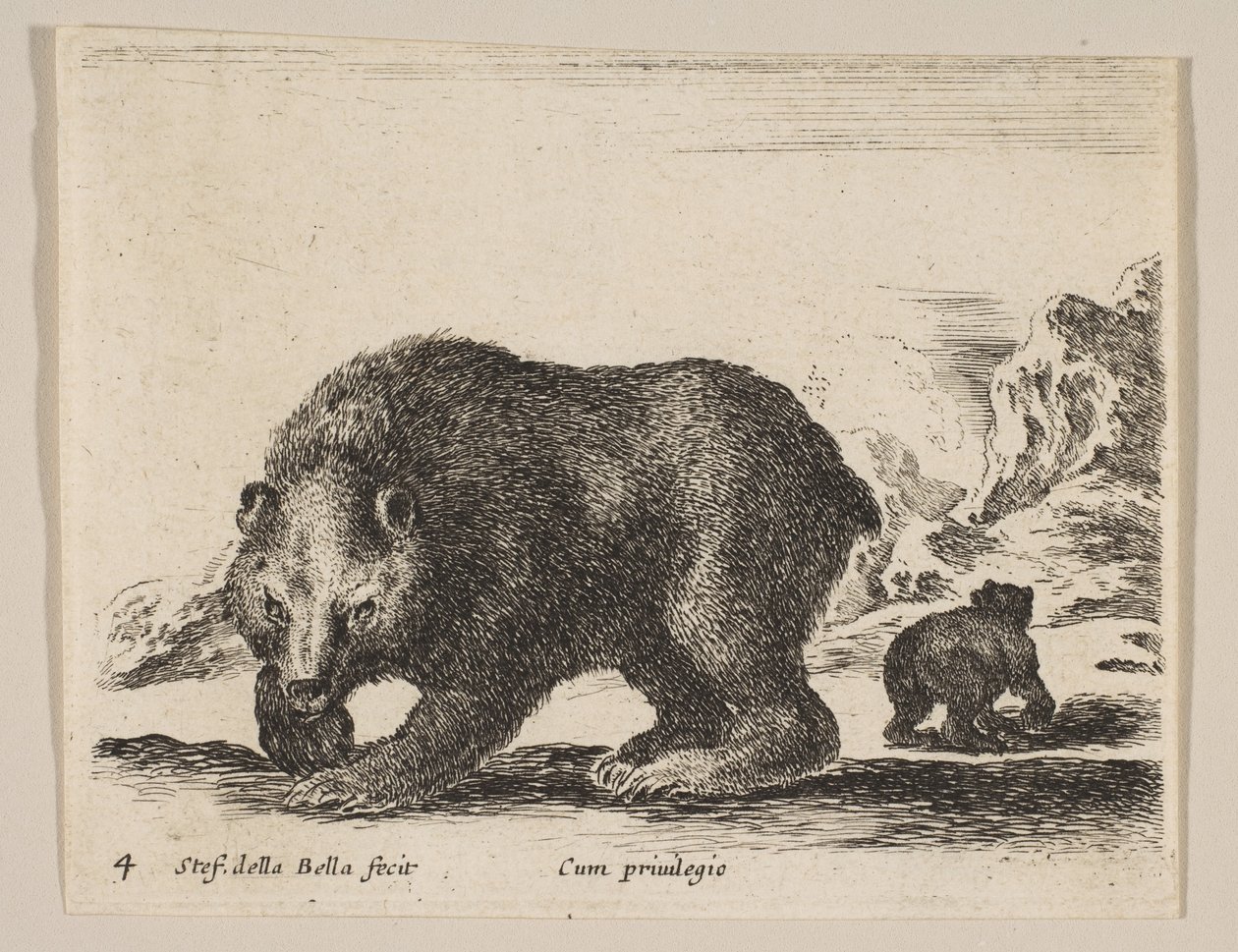 Plaat 4: beer, uit 