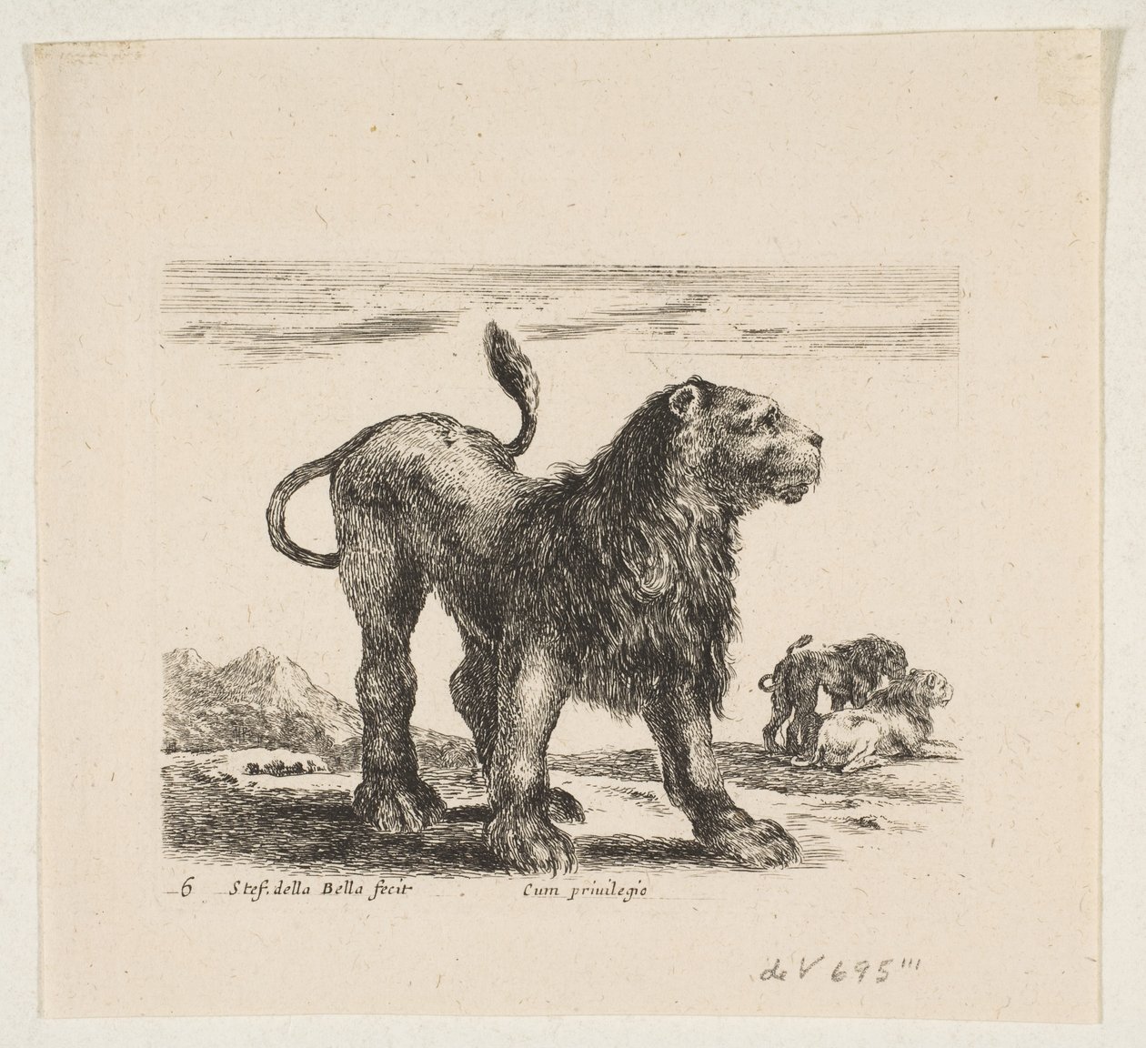 Plaat 6: leeuw, uit 