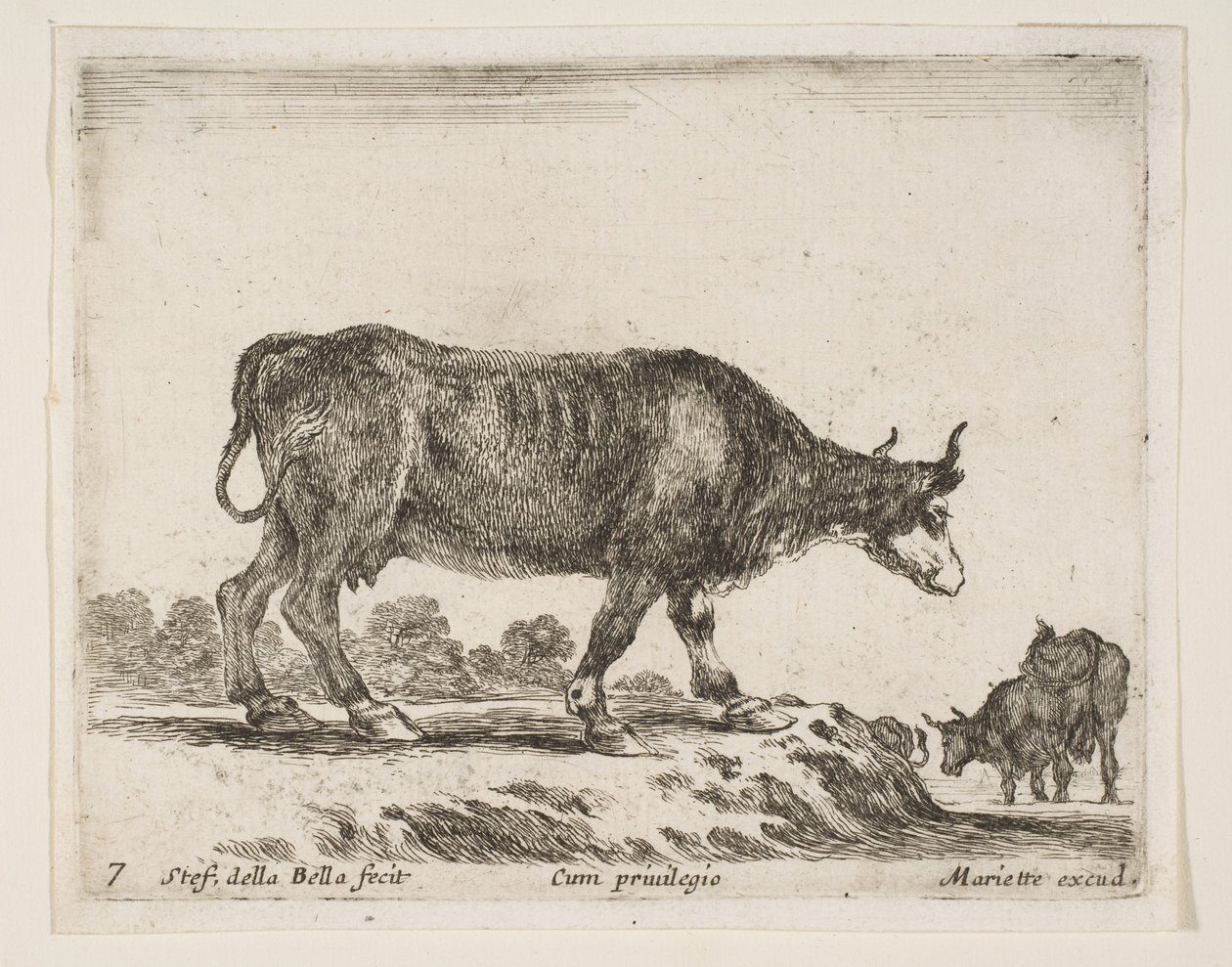 Plaat 7: os, uit Diverse dieren Diversi animali, ca. 1641 door Stefano della Bella