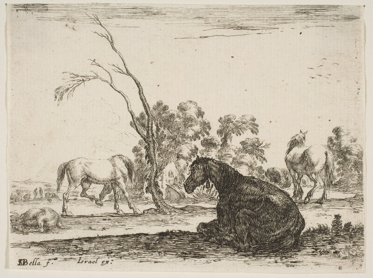 Plaat 8: een zittend paard naar rechts, gezien van achteren en naar links gedraaid, drie andere paarden door Stefano della Bella
