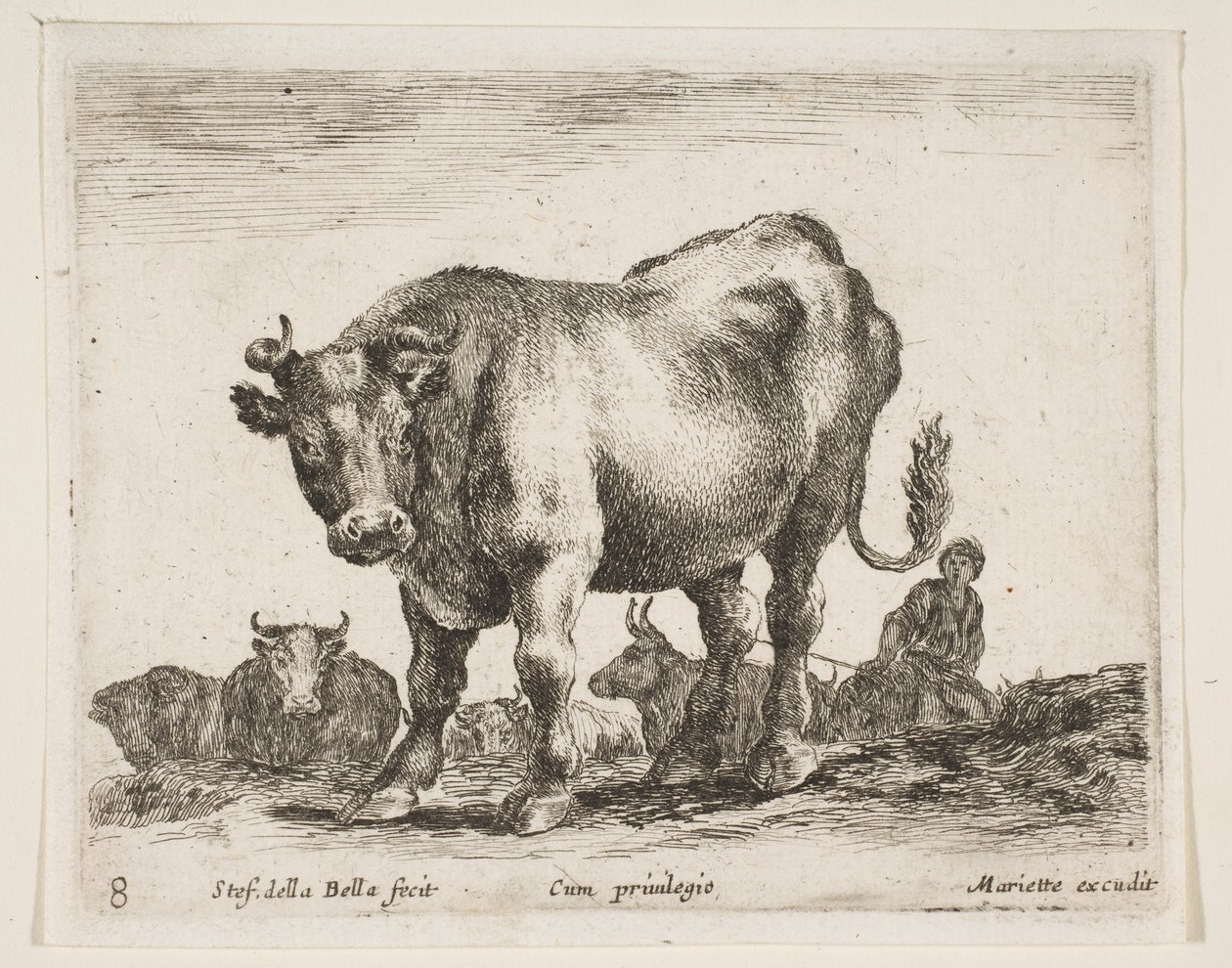 Plaat 8: koe, uit Diverse dieren Diversi animali, ca. 1641 door Stefano della Bella