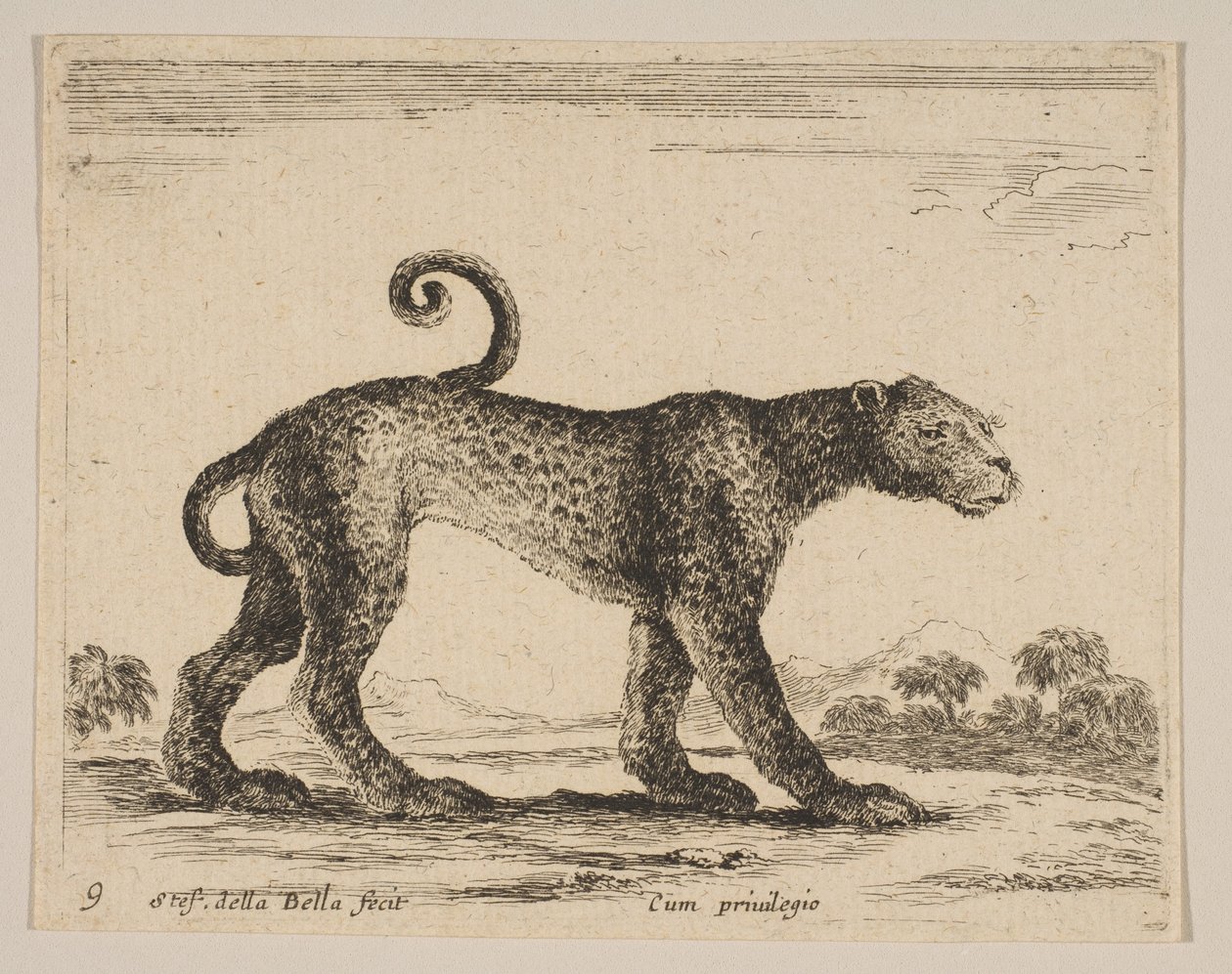 Blad 9: luipaard, uit Diverse dieren Diversi animali, ca. 1641 door Stefano della Bella