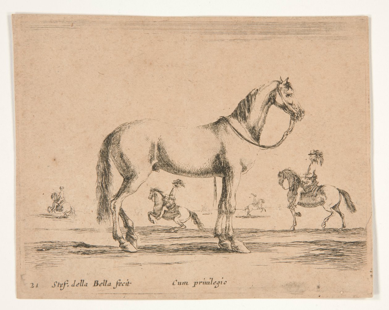 Ruiterloos paard, met ruiters die dressuur doen op de achtergrond door Stefano della Bella