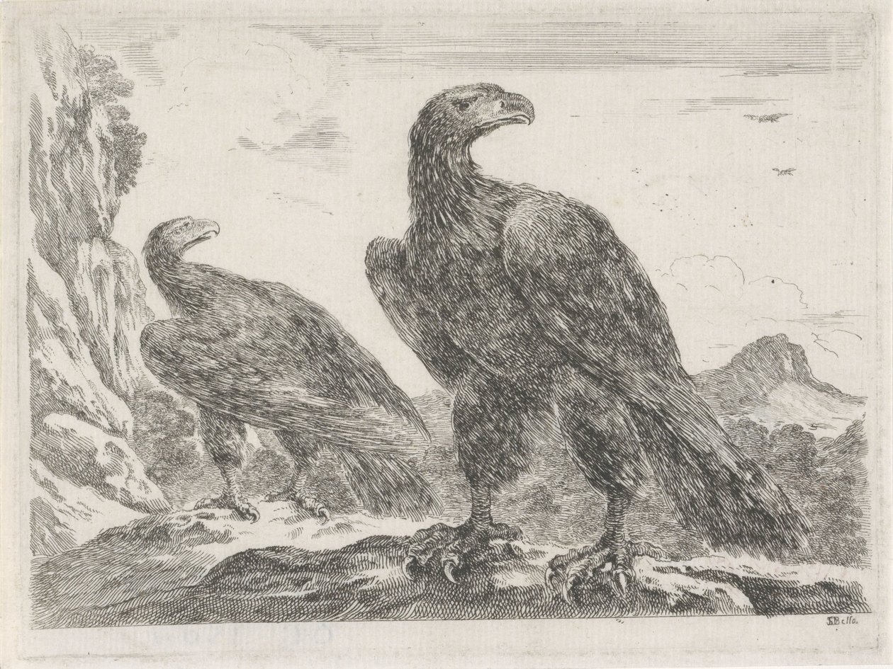 Twee adelaars met koppen naar rechts Adelaars door Stefano della Bella