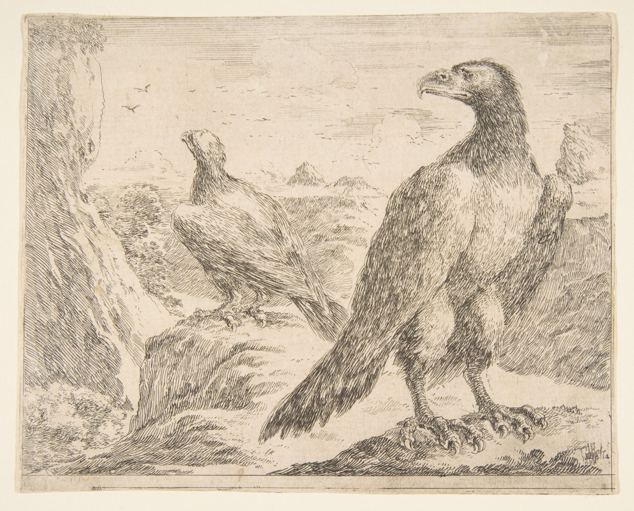 Twee adelaars, uit Adelaars Les aigles, ca. 1651 door Stefano della Bella