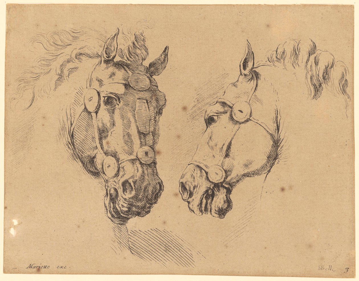 Twee paardenkoppen door Stefano della Bella