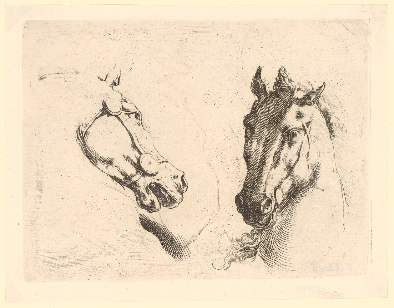 Twee paardenkoppen, blad 1 uit de serie "Diverse dierenkoppen" door Stefano della Bella
