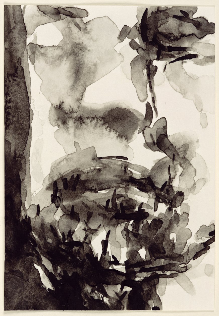 Gezicht, 2001 door Stephen Finer