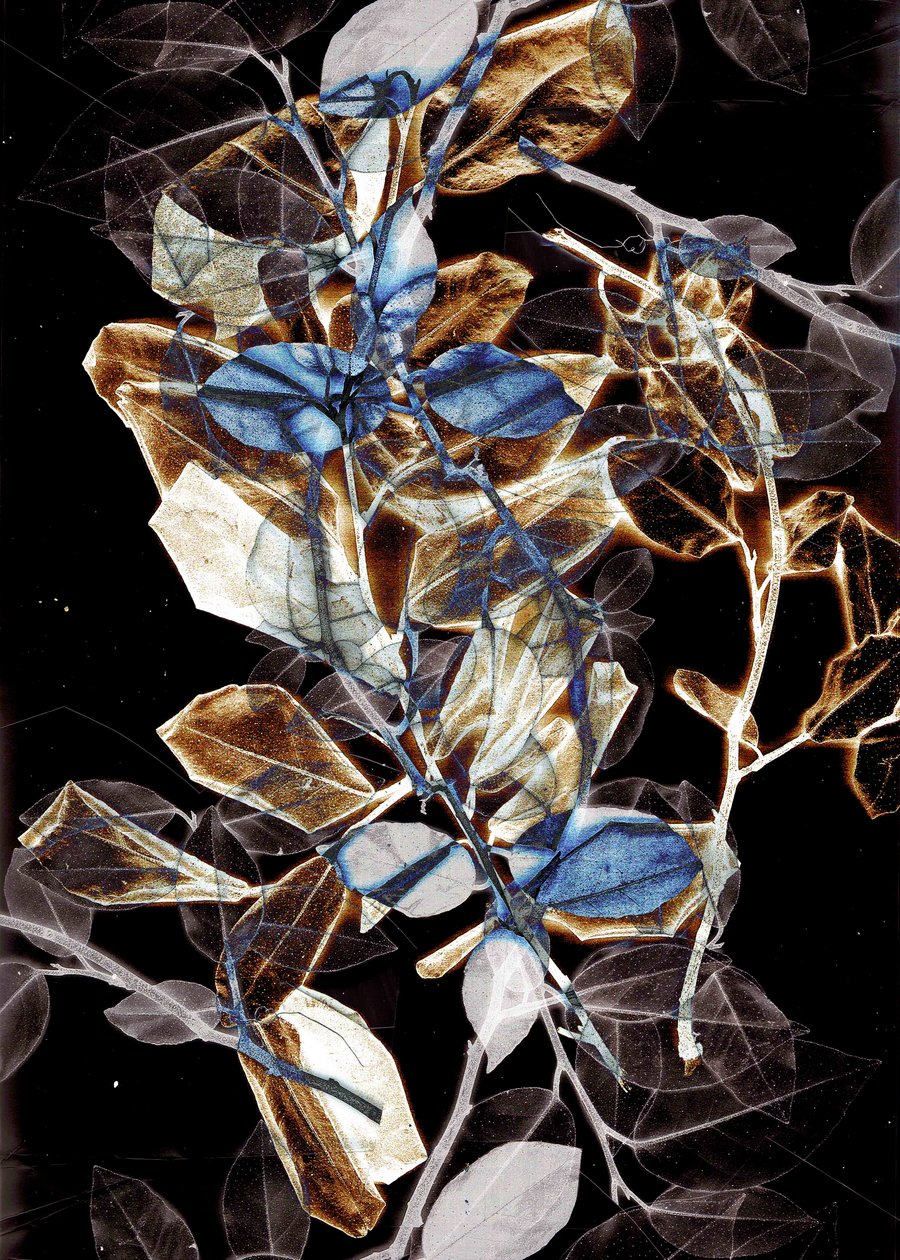 Freyr IX, 2018 (digitaal) door Stephen Dow