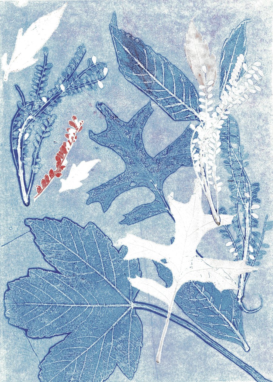 Jol II, 2017 (monoprint op papier) door Stephen Dow