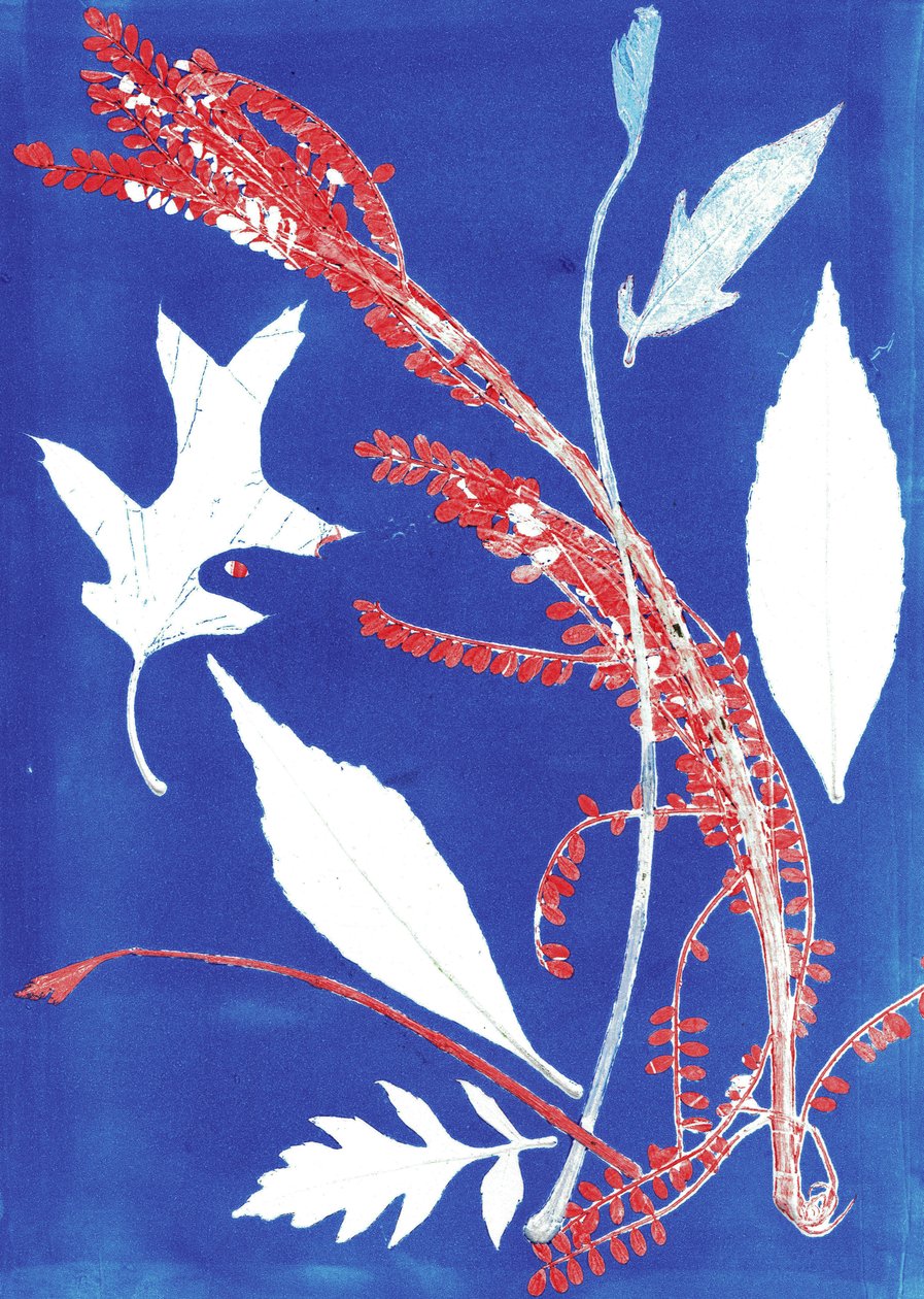 Jol I, 2017 (monoprint op papier) door Stephen Dow