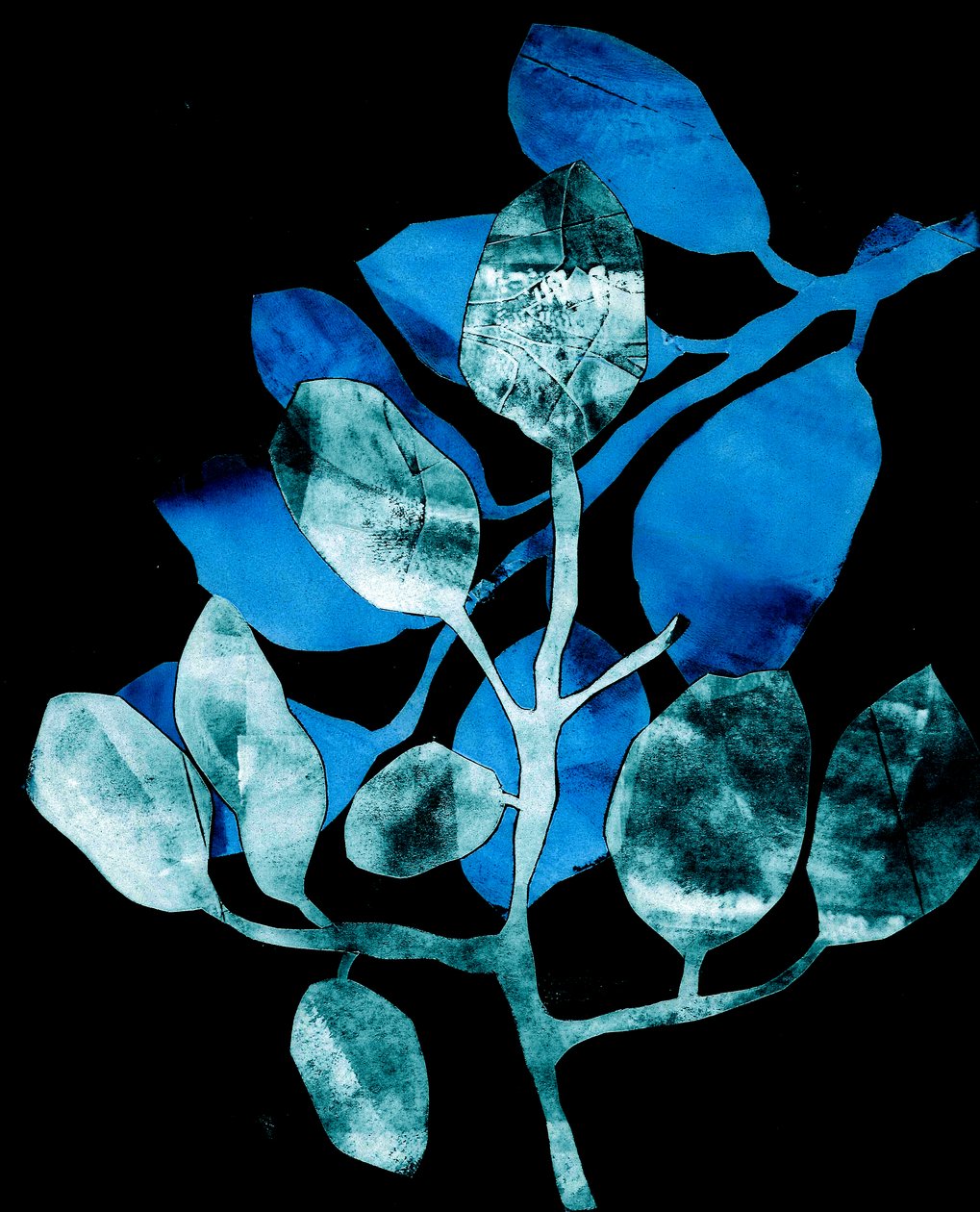 Nachtelijke tuin, 2017 (digitaal, van een collagraph) door Stephen Dow