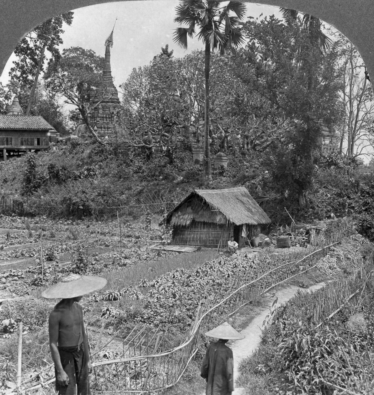 Een moestuin te midden van pagodes, Bhamo, Birma door Stereo Travel Co