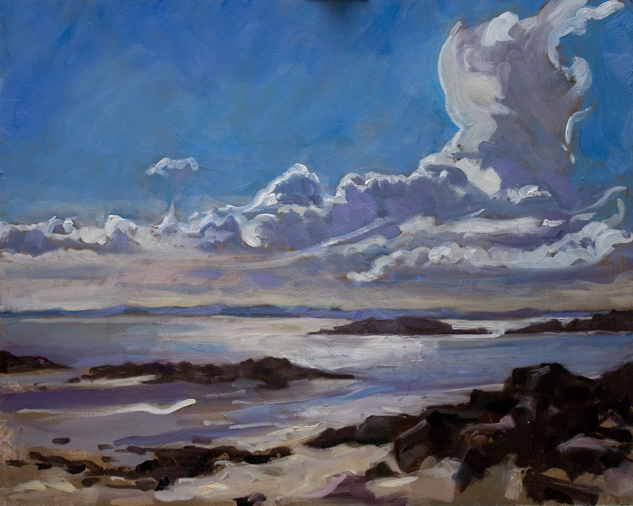 Laat in de middag in Galloway door Sue Wales