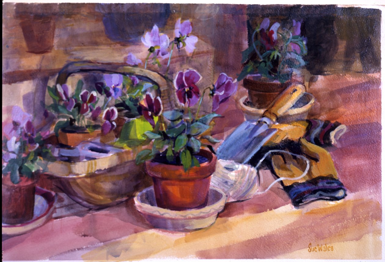 Pansies oppotten door Sue Wales