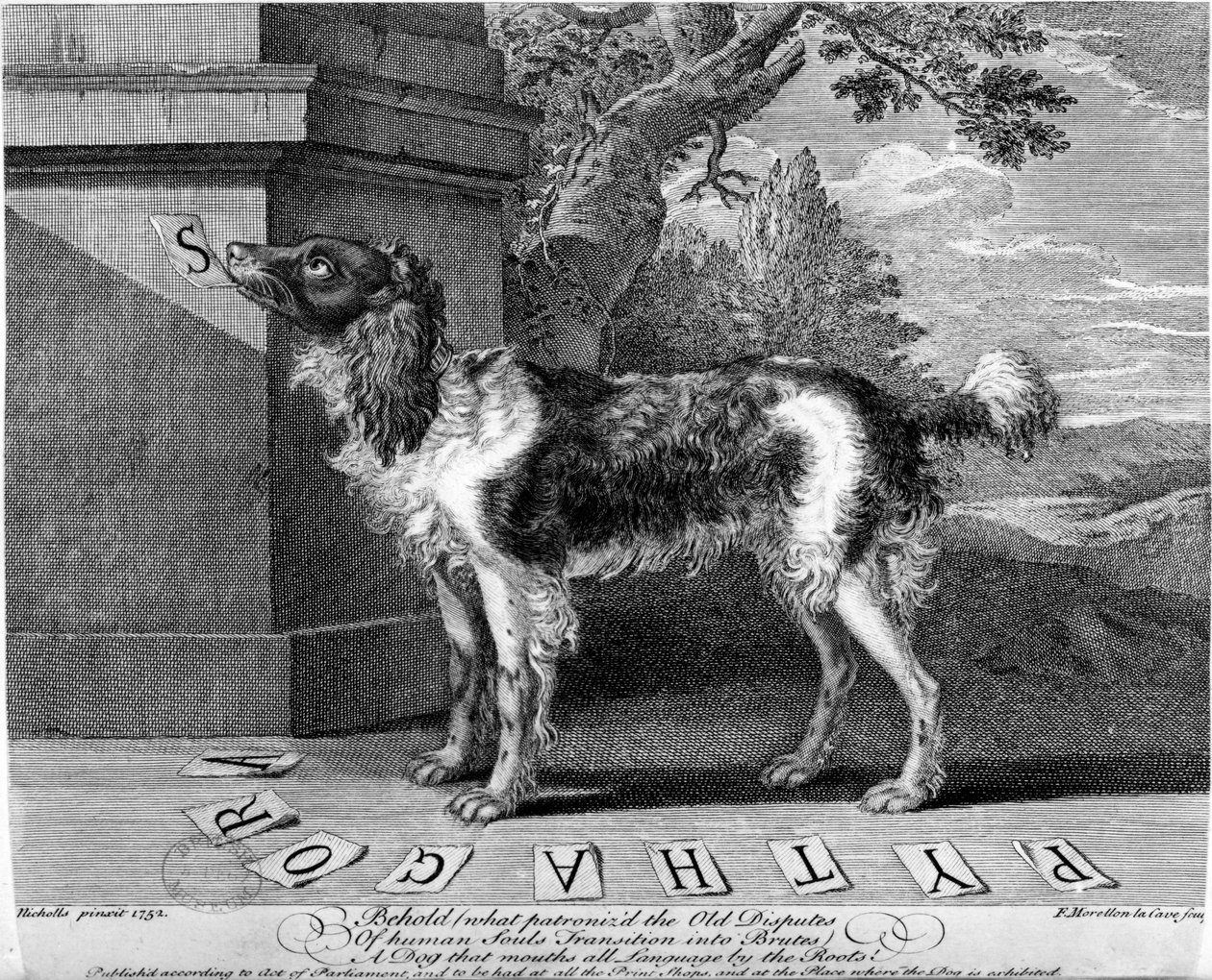 De Nieuwe Geleerde Hond, prent gemaakt door F-Morellon la Cave, 1752 door Sutton Nicholls