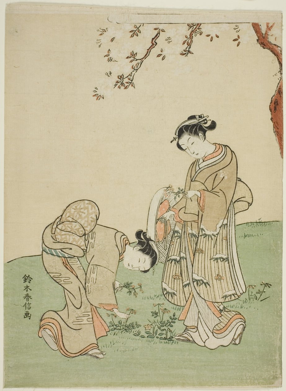 Lente bloemen verzamelen door Suzuki Harunobu