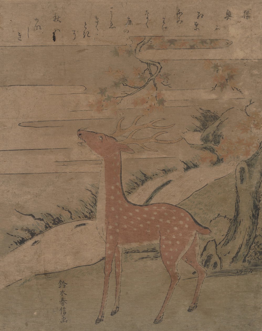 De roep van het hert, ca. 1760 door Suzuki Harunobu
