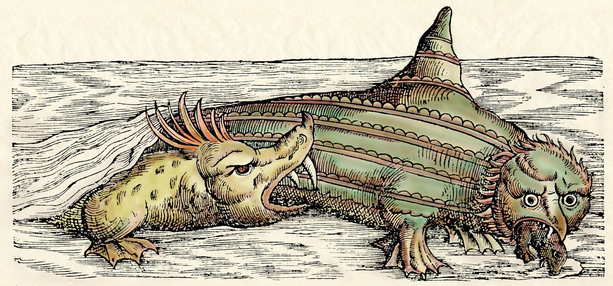 Zeewezens, illustratie uit 