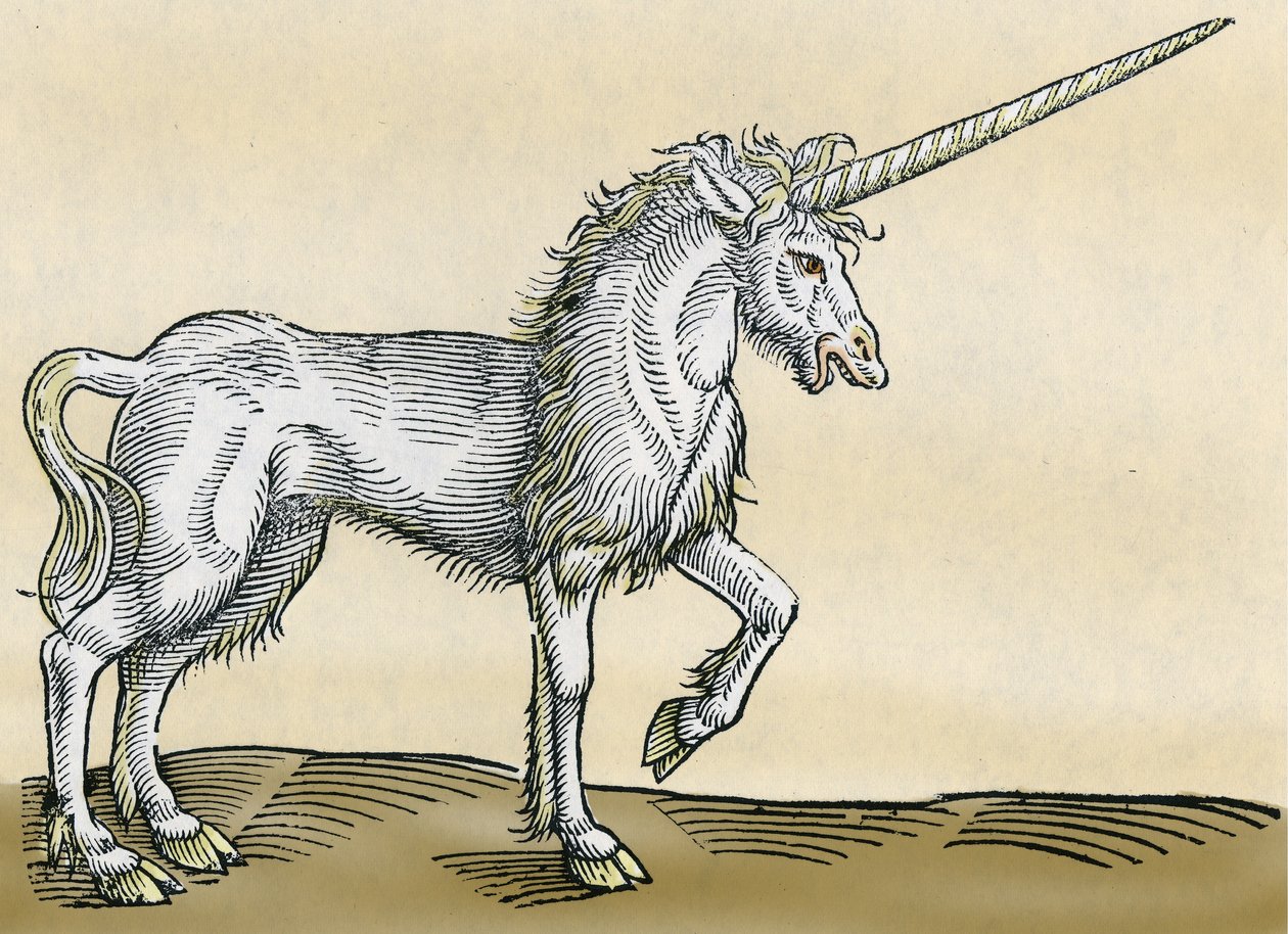 Eenhoorn, illustratie uit Historiae Animalium door Conrad Gesner, 1551 door Swiss School