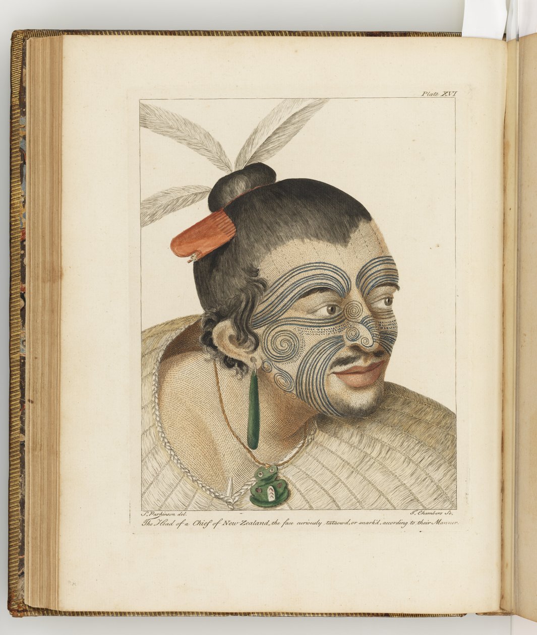 Illustratie uit "Een dagboek van een reis naar de Zuidzee: in Zijne Majesteits schip, de Endeavour", 1794 door Sydney Parkinson