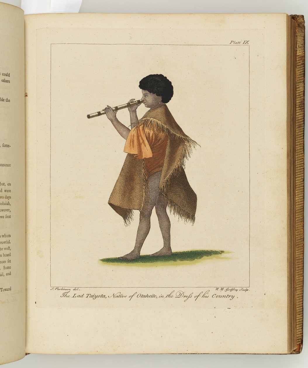Illustratie uit Een reisverslag naar de Zuidzeeën: in Zijne Majesteits schip, de Endeavour, 1794 door Sydney