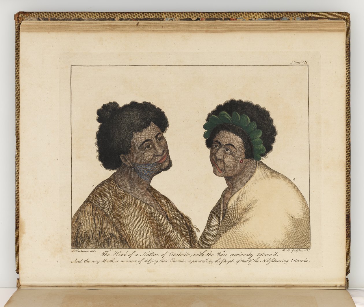Het hoofd van een inboorling van Otaheite, illustratie uit Een reisverslag naar de Zuidzeeën: in Zijne Majesteits schip, de Endeavour, 1794 door Sydney