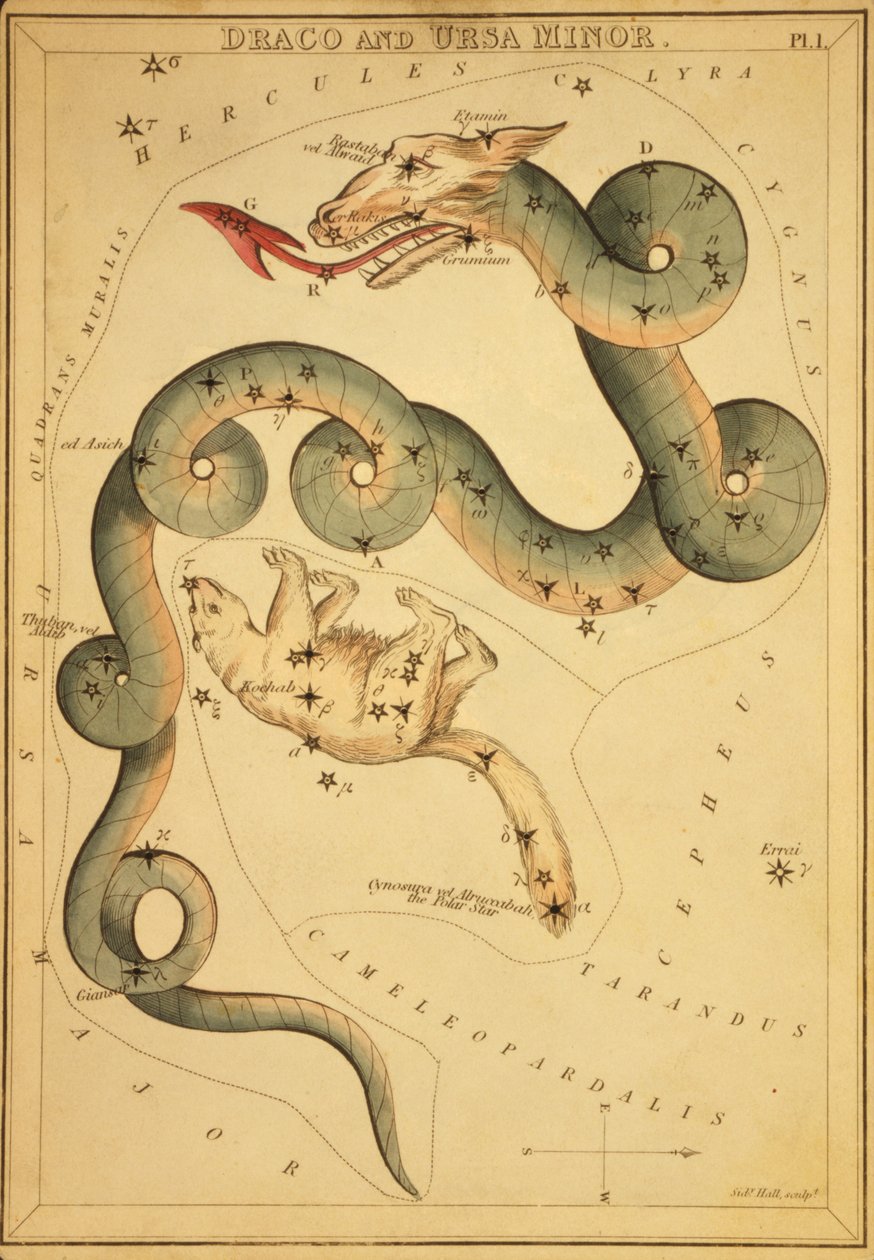 Draco en Ursa Minor, Illustratie uit 